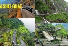 Malshej Ghat Tourism